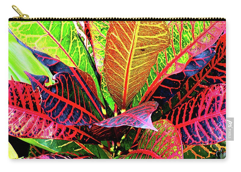 David Lawson Photography Zip Pouch featuring the photograph Tropicals Gone Wild Naturally by David Lawson