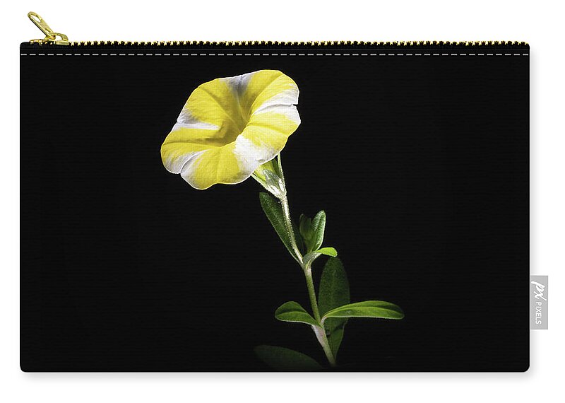 Contrast Zip Pouch featuring the photograph Trumpet Solo by Kevin Suttlehan