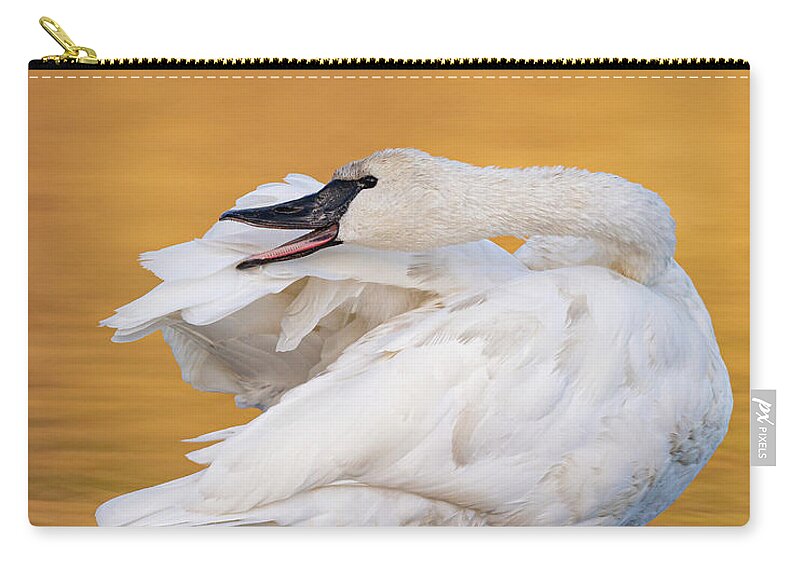 Alum Creek Zip Pouch featuring the photograph Trumpeter Swan by Maresa Pryor-Luzier