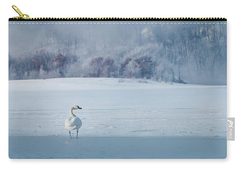 Trumpeter Swan Zip Pouch featuring the photograph Trumpeter Swan Solo by Patti Deters