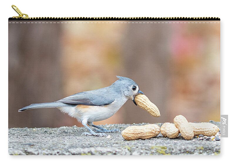 Little Gray Bird Zip Pouch featuring the photograph Tufted Titmouse with Peanut in Mouth by Ilene Hoffman