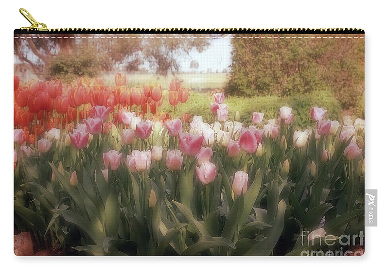 Flowers Zip Pouch featuring the photograph Tulip Dreams by Elaine Teague