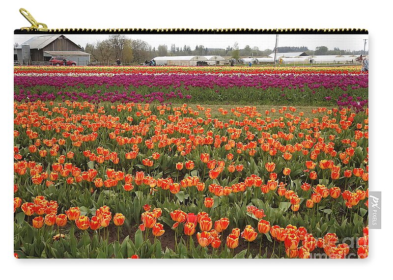 Tulips Zip Pouch featuring the photograph Tulip Fields -1 by Scott Cameron