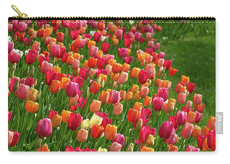 Tulips Zip Pouch featuring the photograph Tulip Garden by Mary Ann Artz