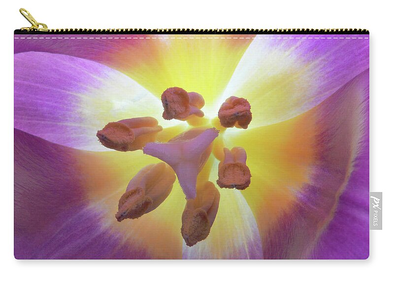 Tulip Zip Pouch featuring the photograph Tulip Inner Glow by Terence Davis