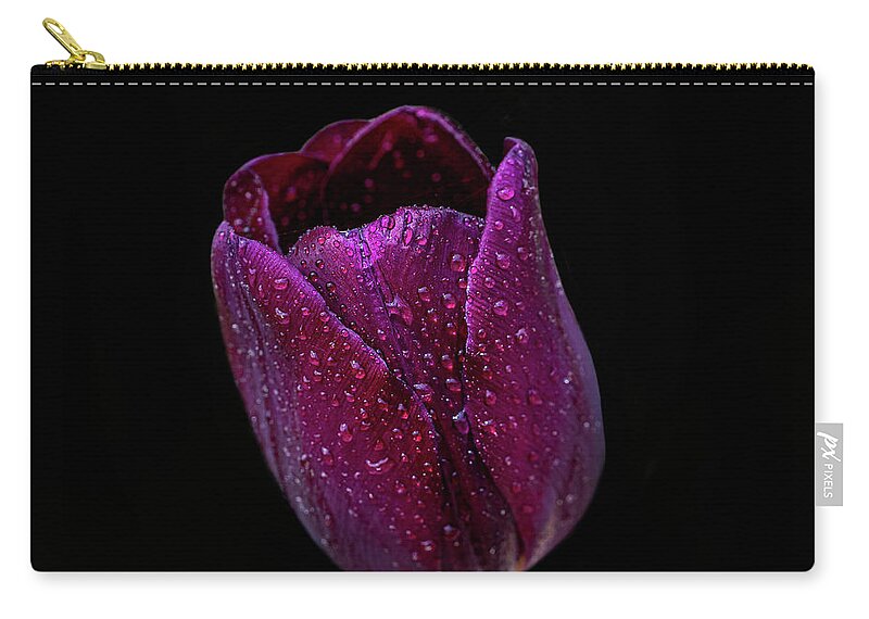 Flower Zip Pouch featuring the photograph Tulip On black by Paul Freidlund