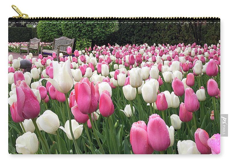 Tulip Zip Pouch featuring the photograph Tulip Palooza by Patty Colabuono