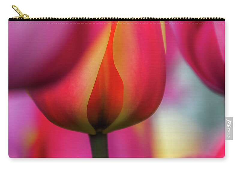 Tulips; Flowers; Florals; Mount Vernon; Roozengaarde; Skagit Valley Tulip Festival; Spring; Spring 2021; Nature; Garden; Tulip Passion Zip Pouch featuring the photograph Tulip Passion by Emerita Wheeling