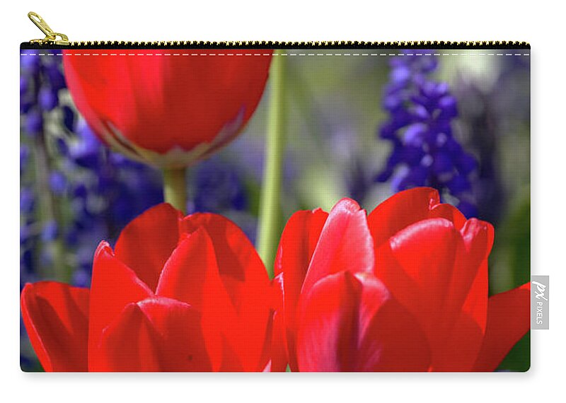 Flora Zip Pouch featuring the photograph Tulips and Bluebells by Stephen Melia