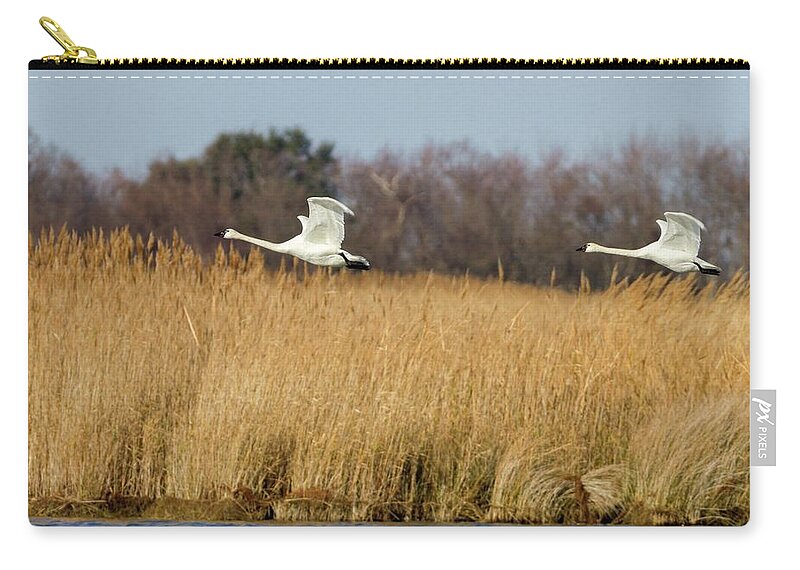 Cygnus Zip Pouch featuring the photograph Tundra Swan Pair by Liza Eckardt