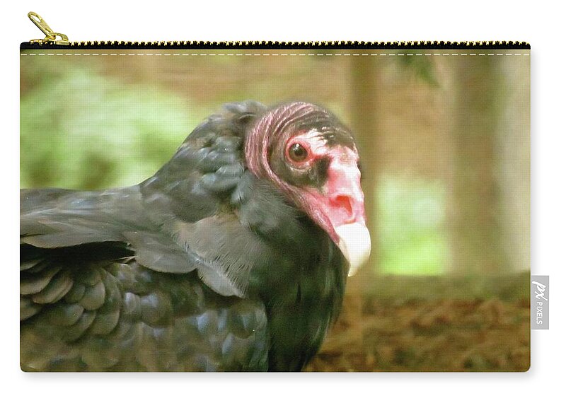 Bird Zip Pouch featuring the photograph Turkey Vulture by Azthet Photography