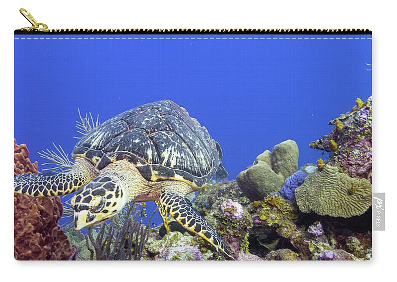 Carribbean Zip Pouch featuring the photograph Turtle Getaway by Joe Weaver