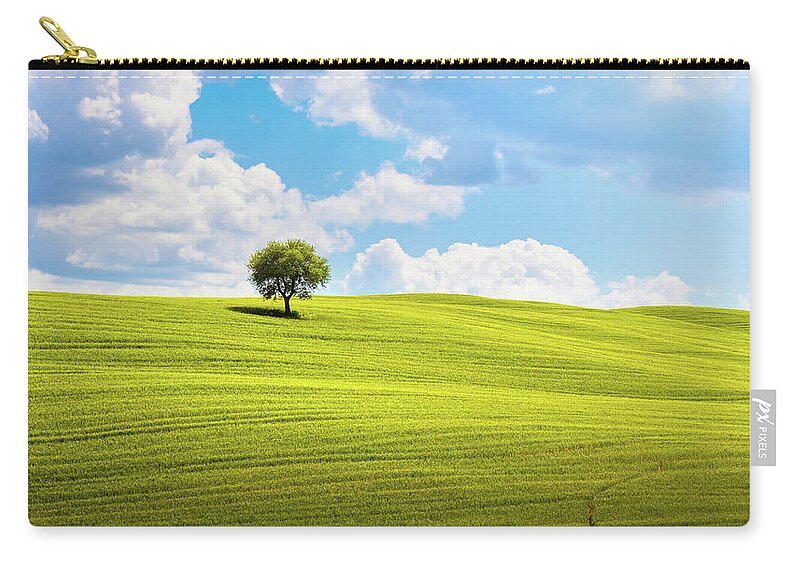 Tree Zip Pouch featuring the photograph Tuscany, olive tree and green fields. Montalcino Orcia, Italy. by Stefano Orazzini