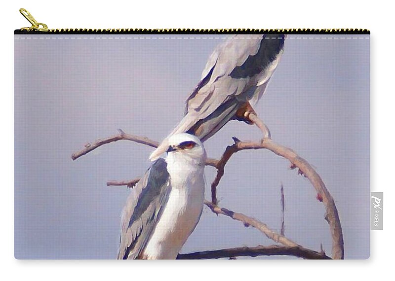 Eagles Zip Pouch featuring the photograph Two Beautiful Eagles by John Kolenberg