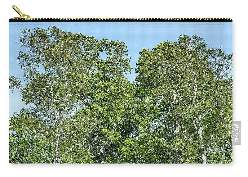 America Zip Pouch featuring the photograph Two Birch Trees by Marianne Campolongo