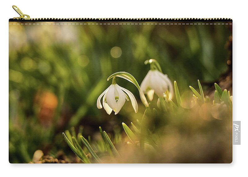 Galanthus Nivalis Zip Pouch featuring the photograph Galanthus nivalis at spring by Vaclav Sonnek