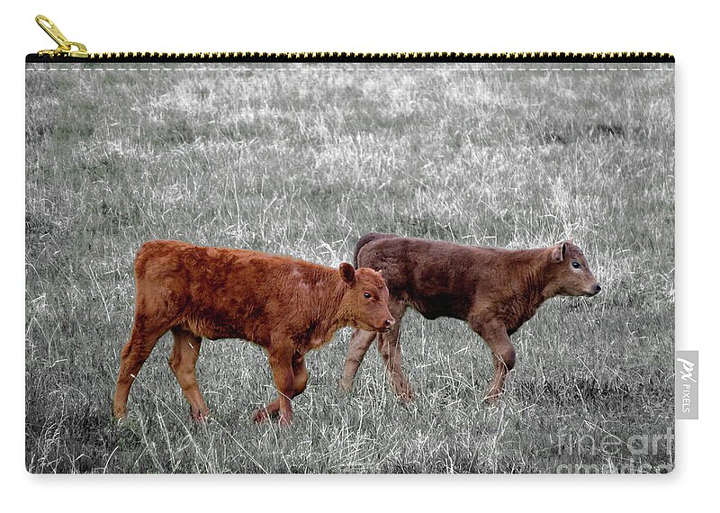 Country Zip Pouch featuring the photograph Two Brown Cows by Mary Mikawoz