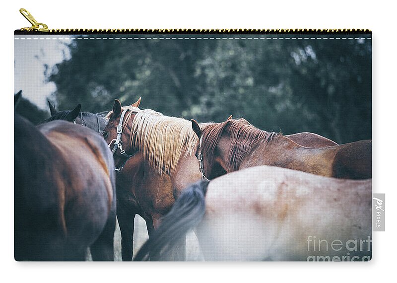 Horses Zip Pouch featuring the photograph Two calm horses by Dimitar Hristov