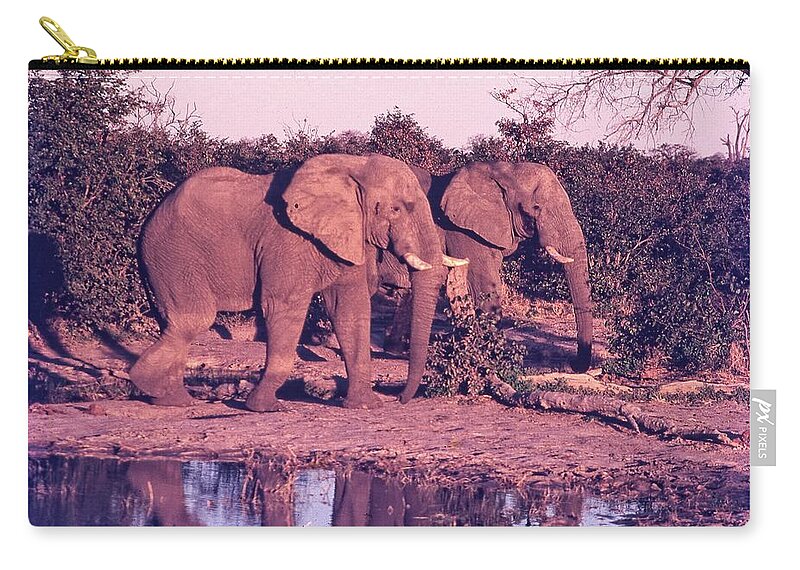 Africa Zip Pouch featuring the photograph Two Elephants Going for a Walk by Russel Considine