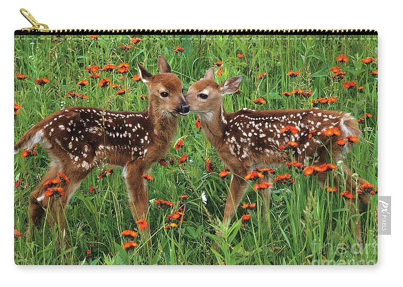 Deer Zip Pouch featuring the photograph Two Fawns Talking by Chris Scroggins