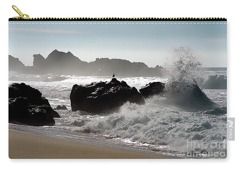 Big Sur Zip Pouch featuring the photograph Two Gulls by James B Toy
