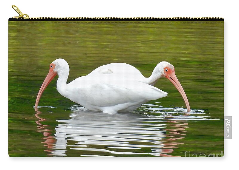 Ibises Zip Pouch featuring the photograph Two Ibis Explorers by Beth Myer Photography