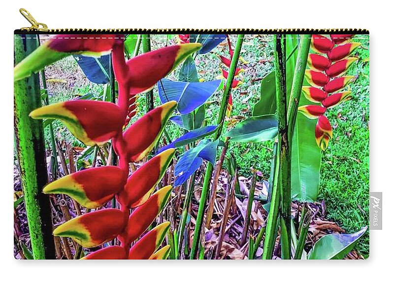 #flowersofoha #flowers #aloha #hawaii #puna #flowerpower #flowerpoweraloha #lobsterclaw #heliconia Zip Pouch featuring the photograph Two Lobster Claw Heliconia Aloha by Joalene Young