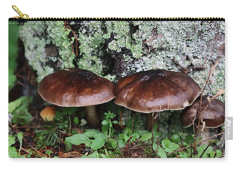 Two New Mushrooms Today Zip Pouch featuring the digital art Two New Mushrooms Today by Tom Janca