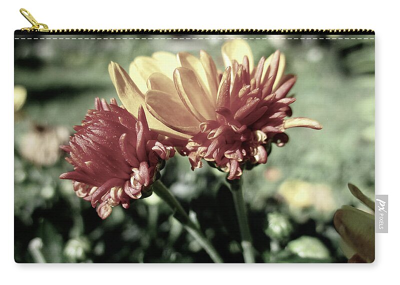 Calendula Officinalis Zip Pouch featuring the photograph Two Pot Marigolds by W Craig Photography