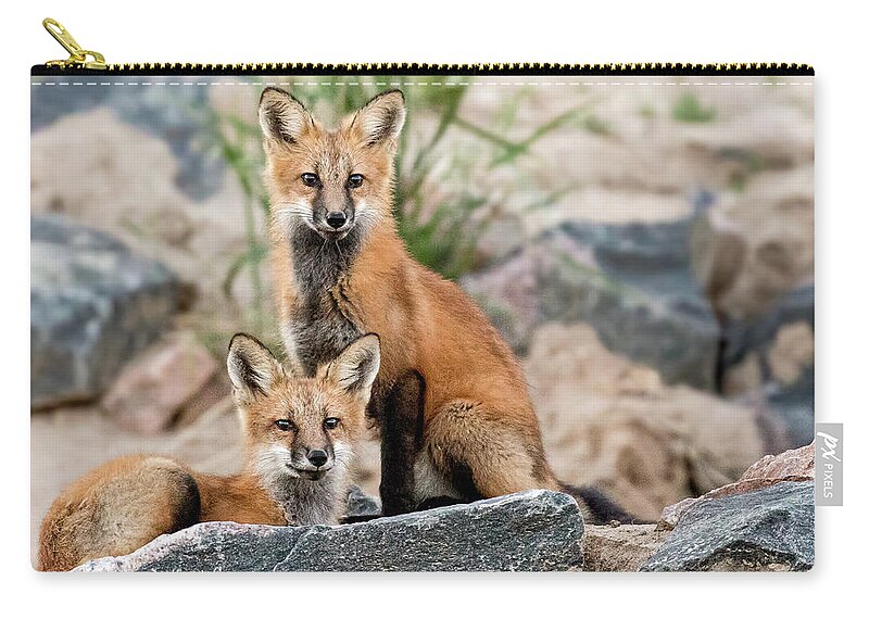 Vulpes Vulpes Zip Pouch featuring the photograph Two Red Foxes by Dawn Key