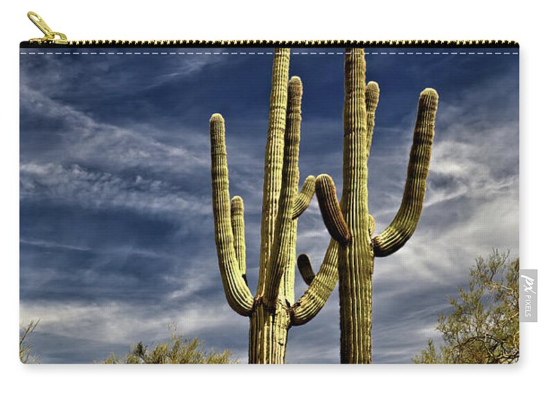 Cactus Zip Pouch featuring the photograph Two Saguaros by Bob Falcone