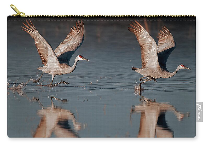 Sandhill Zip Pouch featuring the photograph Two Sandhill Crane taking off sunrise by Gary Langley