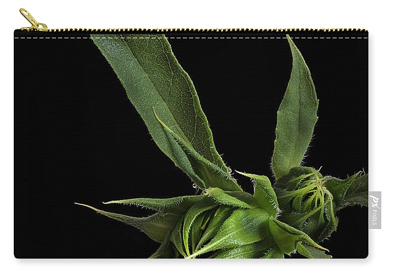 Wild Sunflower Buds Zip Pouch featuring the photograph Two Sunflower Buds by Endre Balogh