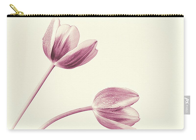 Tulips Zip Pouch featuring the photograph Two Tulips Color Tone 1 by Tanya C Smith