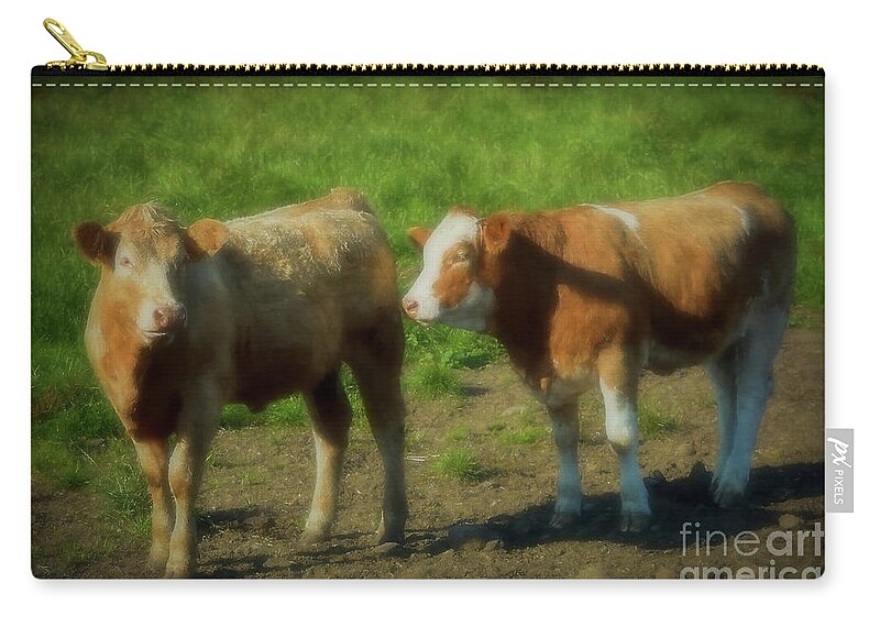 Cow Zip Pouch featuring the photograph Two Young Bullocks by Yvonne Johnstone