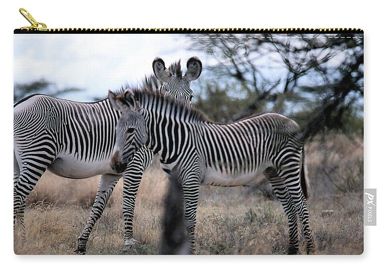 Zebra Carry-all Pouch featuring the photograph Two Zebras by Russ Considine