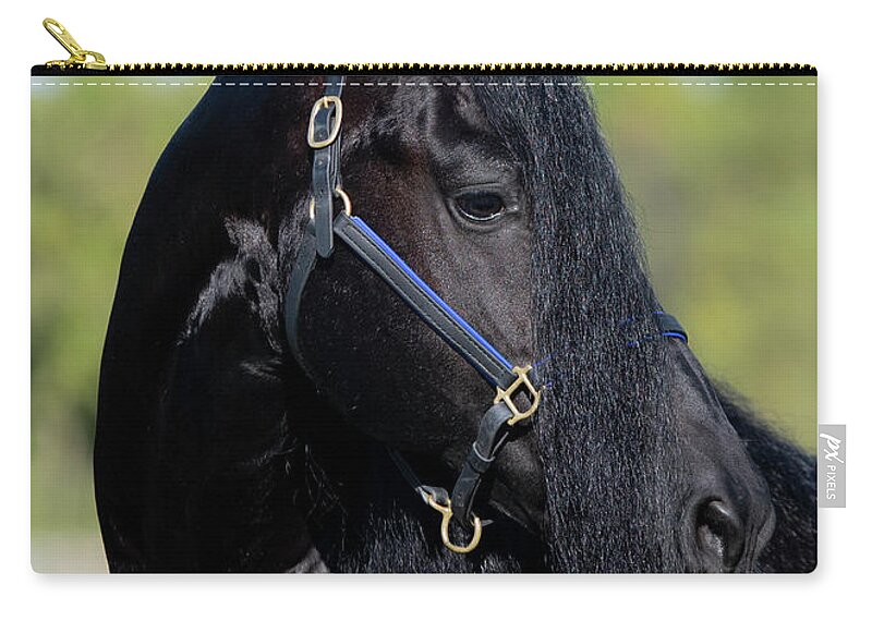 Uldrik Zip Pouch featuring the photograph Uldrik Profile by Lori Ann Thwing