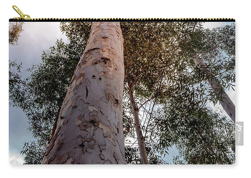 Eucalyptus Zip Pouch featuring the photograph Under the Eucalyptus Trees by Alison Frank
