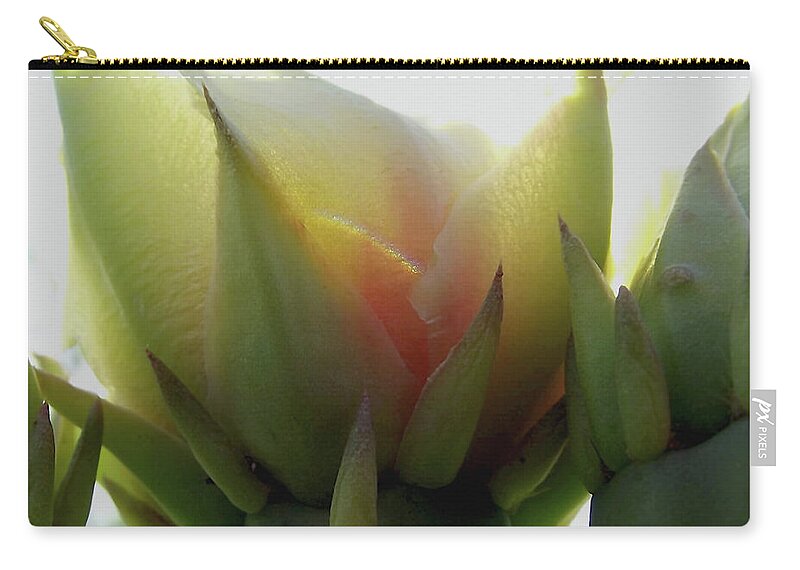 Prickly Pear Zip Pouch featuring the digital art Under the Prickly Pear Cactus Flower by Shelli Fitzpatrick