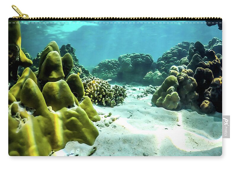 Underwater Zip Pouch featuring the photograph Underwater Coral Landscape by Nicklas Gustafsson
