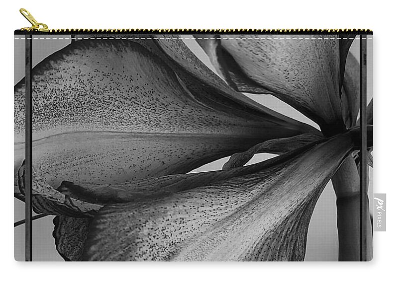 Flower Zip Pouch featuring the photograph Up close in black and white by Kim Galluzzo