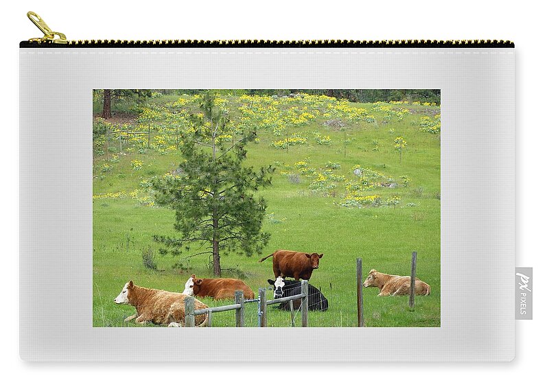 Cattle Zip Pouch featuring the photograph Up Country Cattle 1 by Will Borden