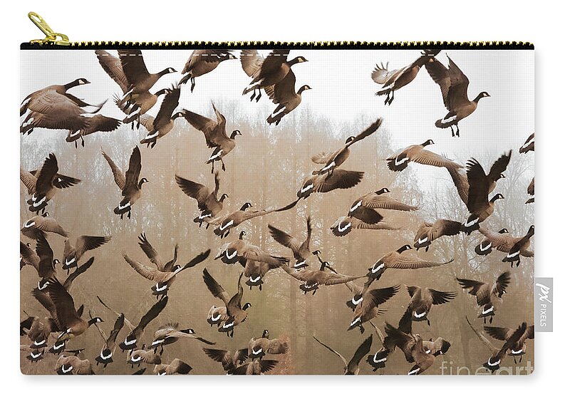 Canadian Geese Zip Pouch featuring the photograph Up, Up and Away by Scott Cameron