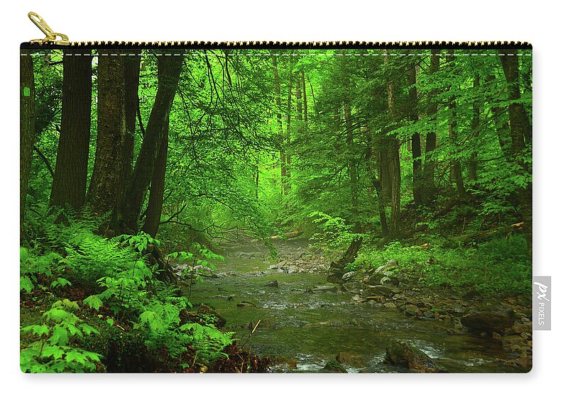 Upper Dunnfield Creek Spring Green And Rain Shine Zip Pouch featuring the photograph Upper Dunnfield Creek Spring Green and Rain Shine by Raymond Salani III