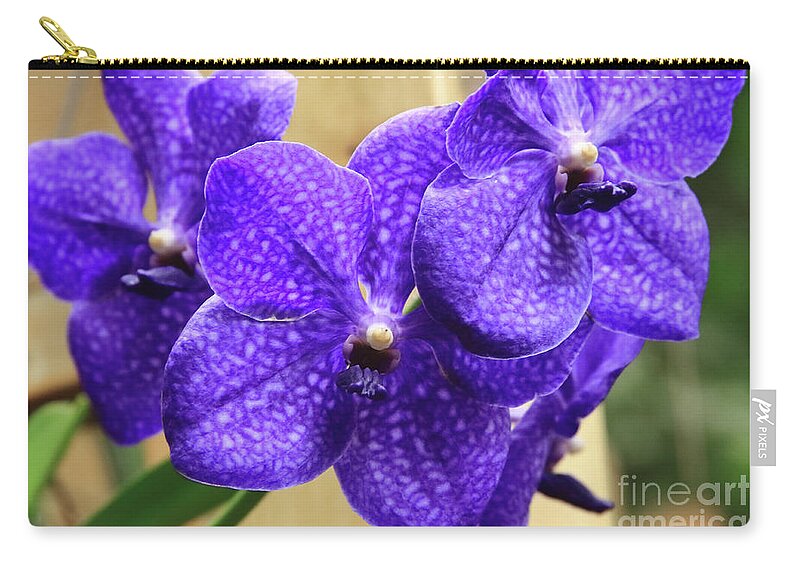 China Zip Pouch featuring the photograph Vanda Orchid II by Tanya Owens