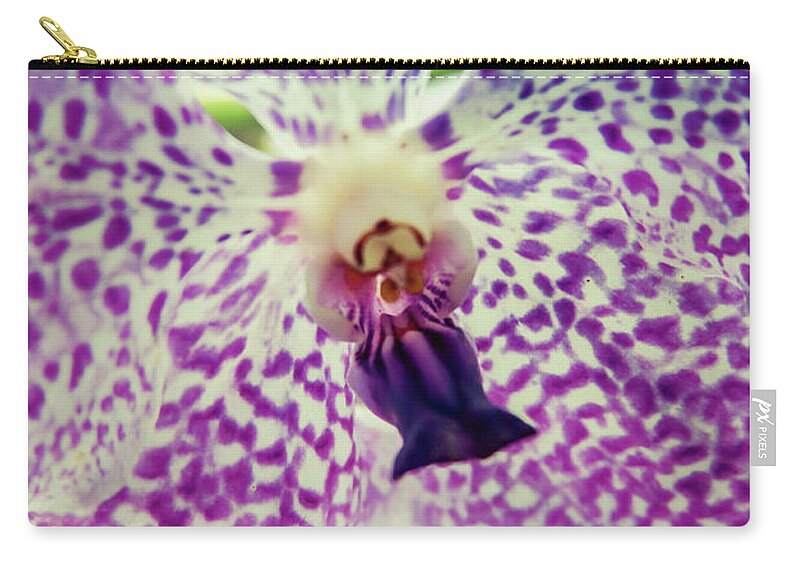 Singapore Carry-all Pouch featuring the photograph Vanda Orchid in Blue by Tanya Owens