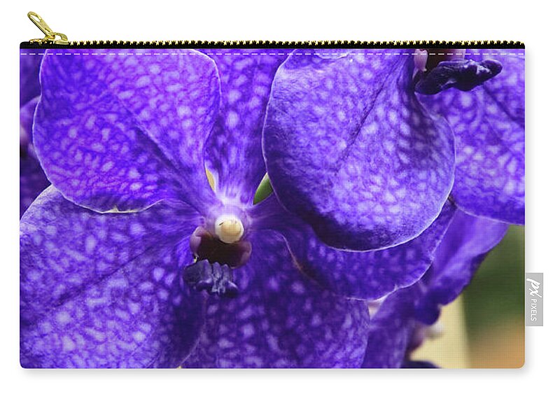 China Carry-all Pouch featuring the photograph Vanda Orchid Portrait II by Tanya Owens