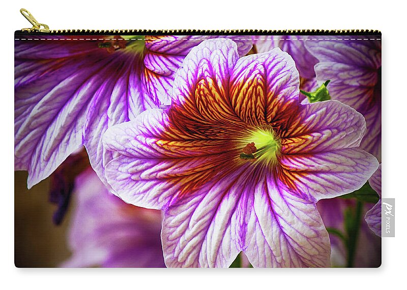 Blooming Zip Pouch featuring the photograph Variegated Purple Day Lily by Charles Floyd