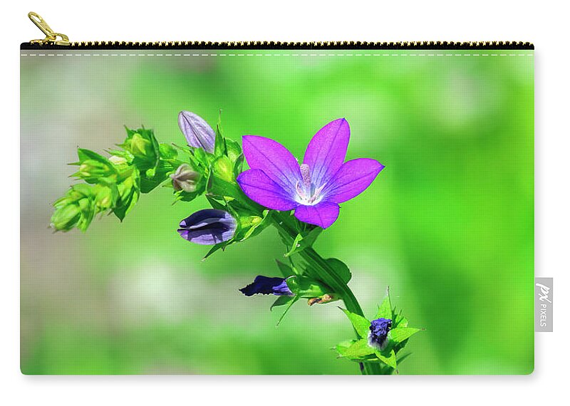 Bellflower Family Carry-all Pouch featuring the photograph Venus' Looking-glass DFL1157 by Gerry Gantt