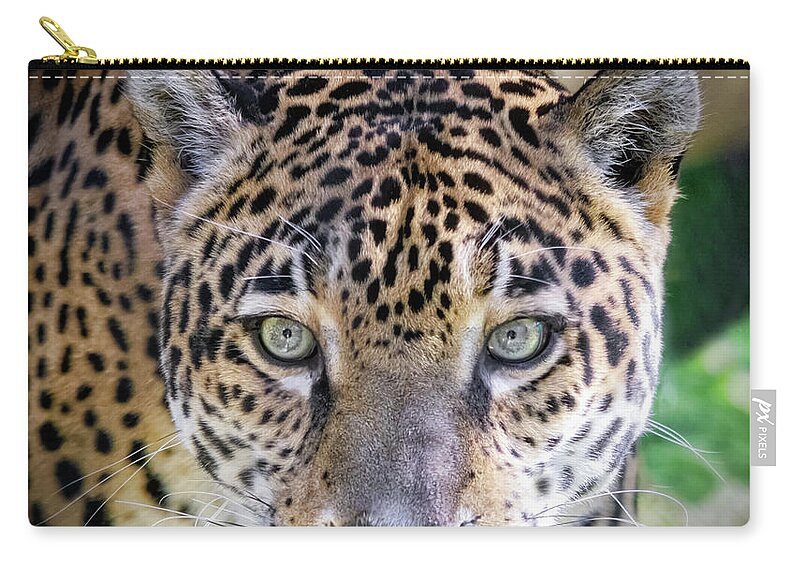 Cats Zip Pouch featuring the photograph Very Intense by Elaine Malott